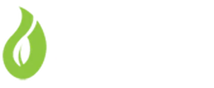Cibulki